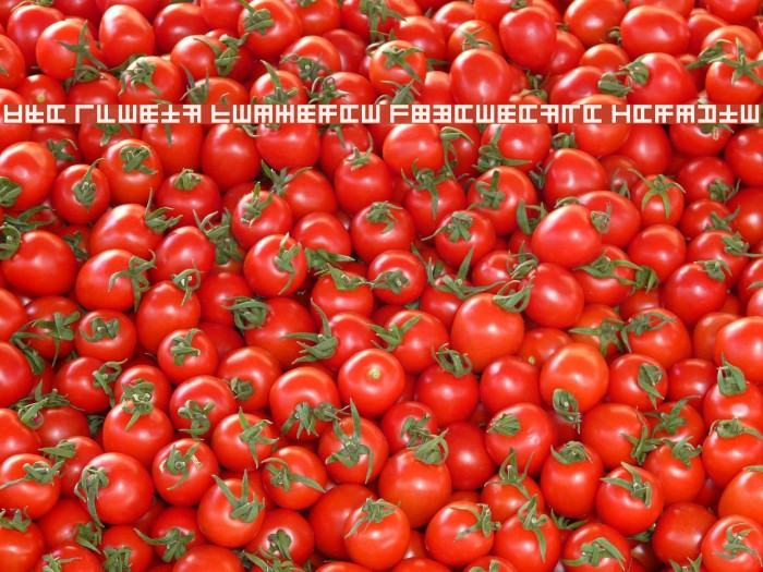 The Adrian Frutiger Experience Regular Example 1