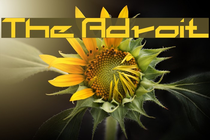 The Adroit Font examples