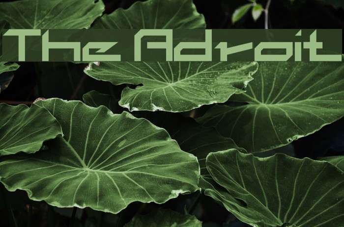 The Adroit Font examples