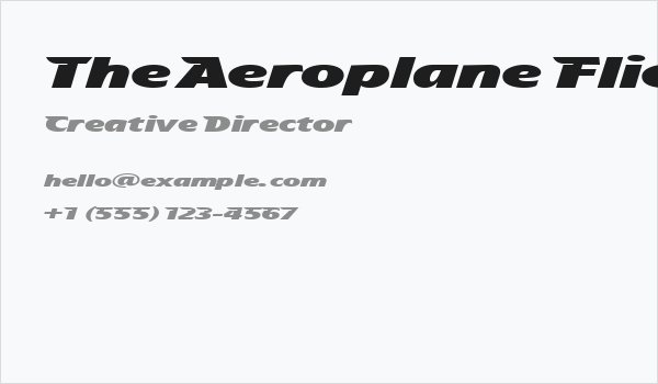 The Aeroplane Flies High Heavy Business Card