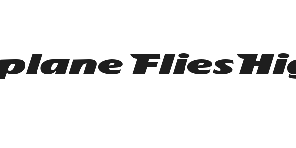 The Aeroplane Flies High Heavy Logo