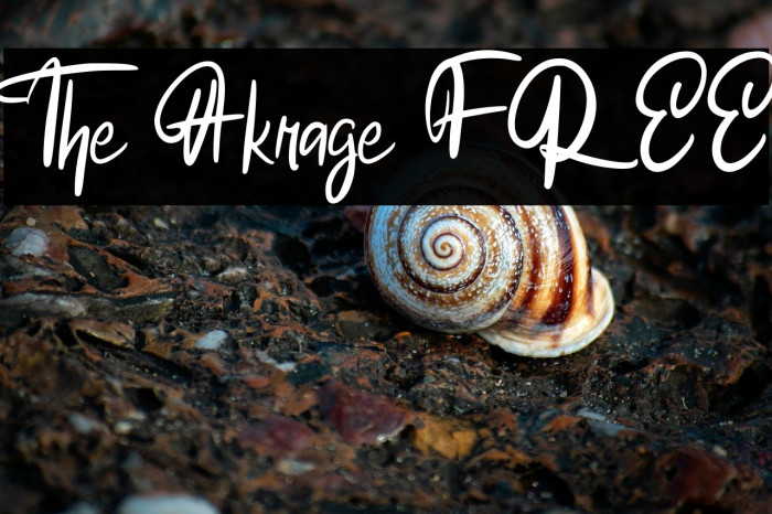 The Akrage FREE Example 1