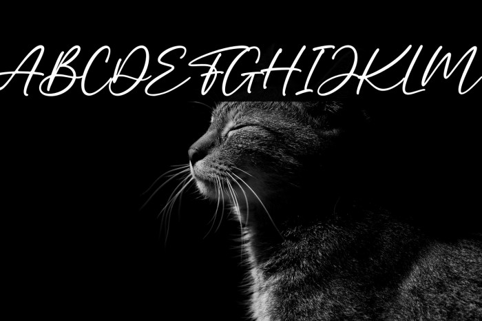 The Amaranth Example 1