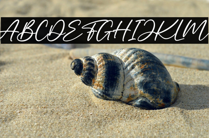 The Amaranth Example 2