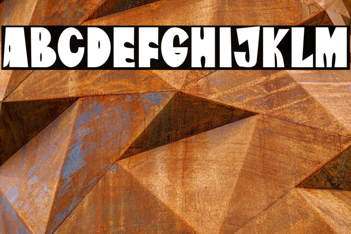 The Amazona Example 1