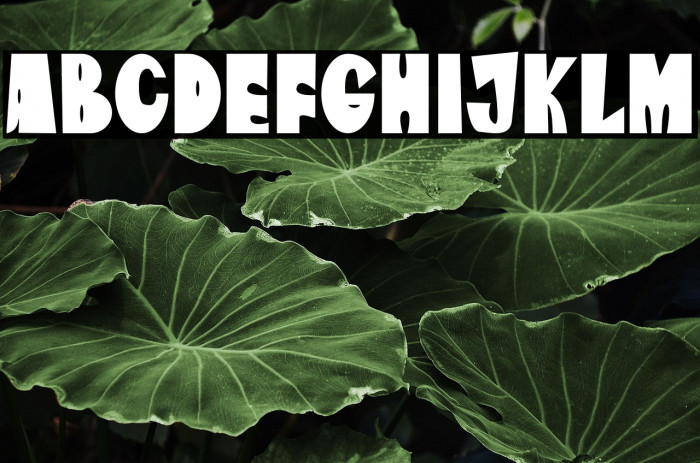 The Amazona Example 2