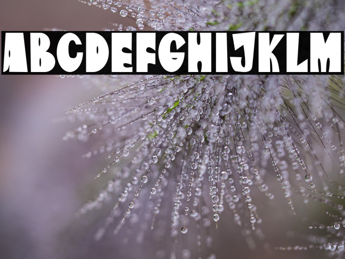 The Amazona Example 3