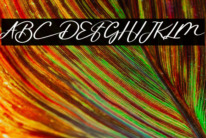 The Amsterdam Example 2