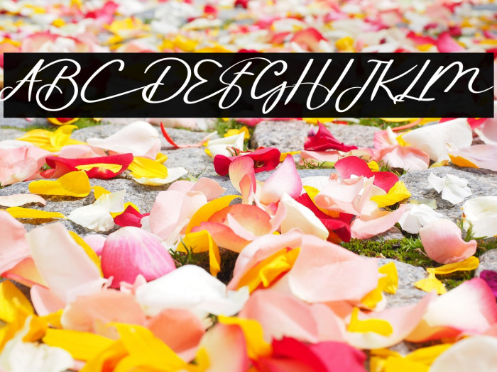 The Amsterdam Example 3