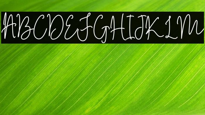 The Amstrong Example 2