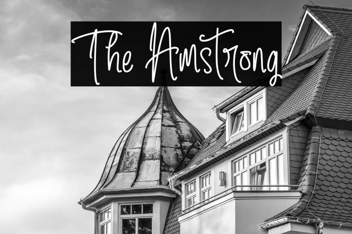 The Amstrong Example 1