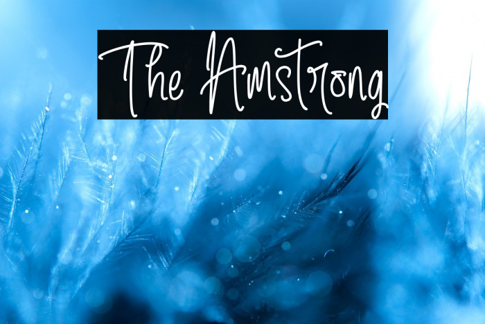 The Amstrong Example 3