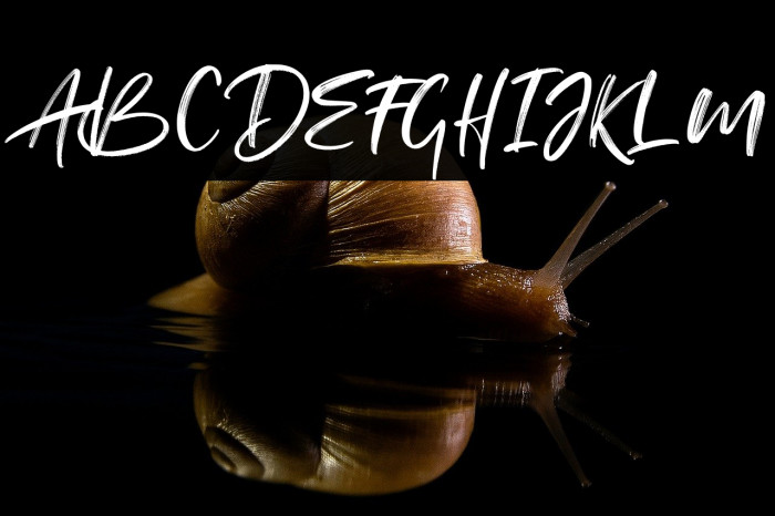 The Andallass Example 1