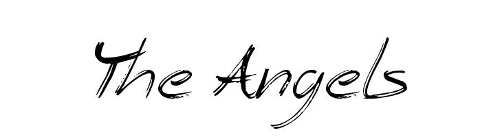 The Angels Polices