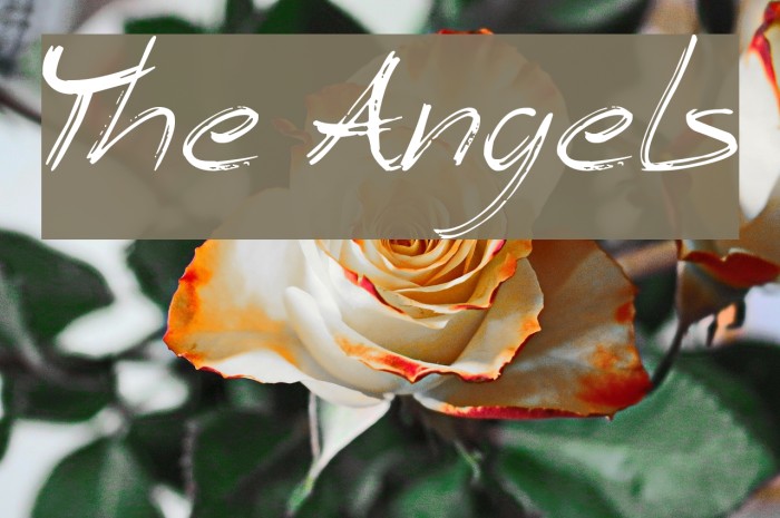 The Angels Font examples