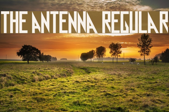 antenna regular font free download