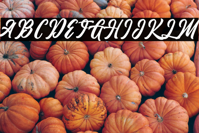 The Anthelope Example 2