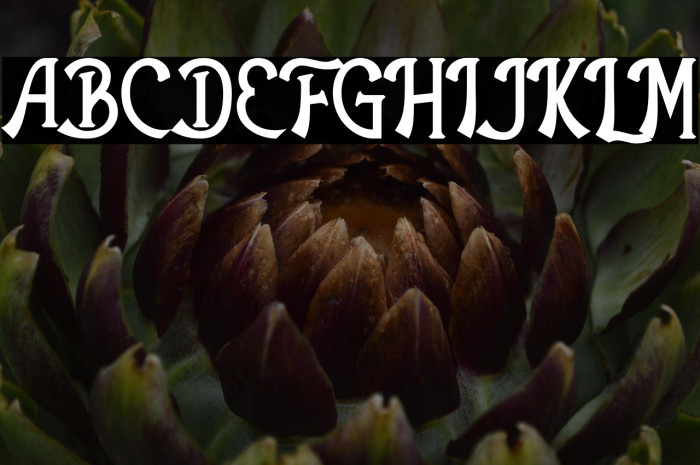 The Antique Example 3