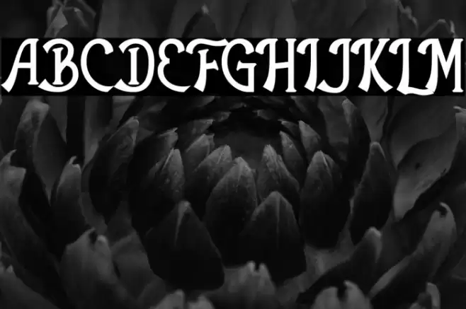 The Antique Font examples