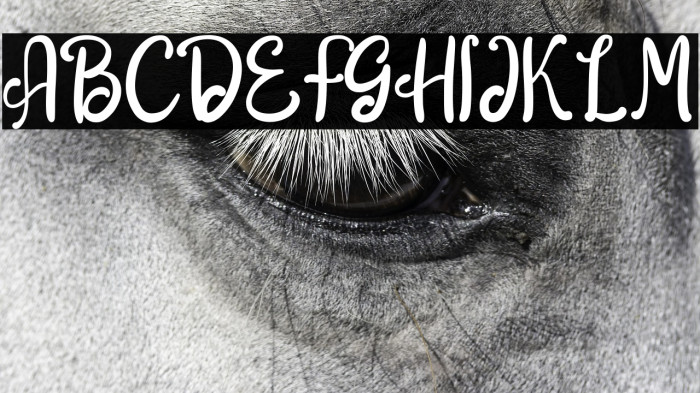 The Anttair Example 2