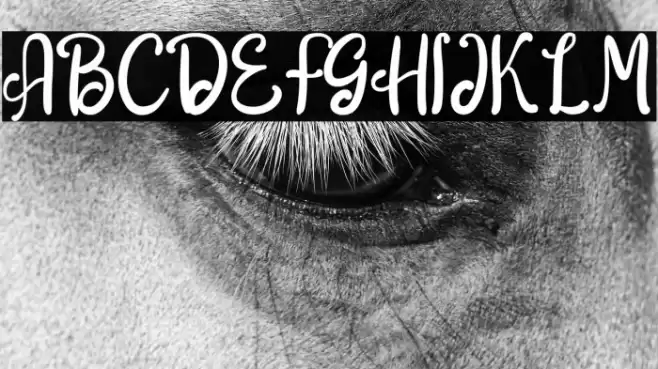 The Anttair Font examples