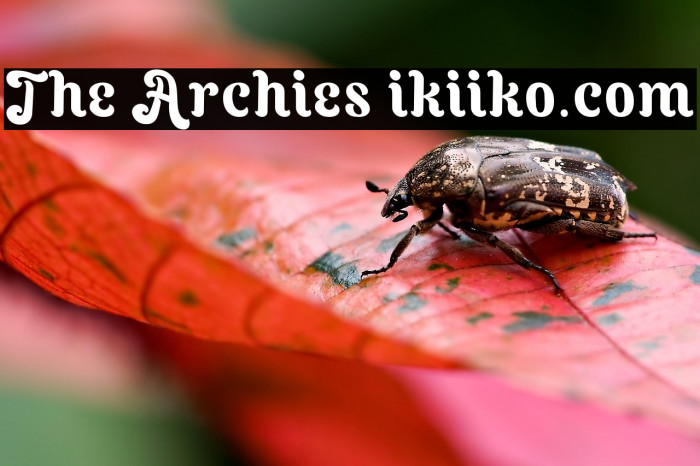 The Archies ikiiko.com Example 1