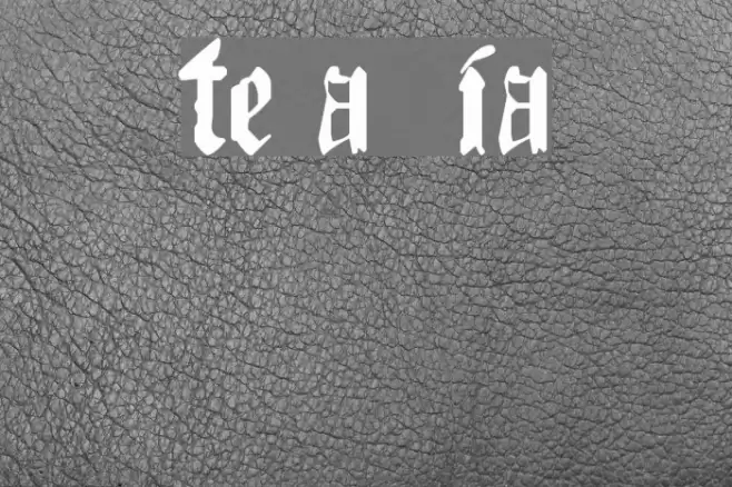 The Art of Illuminating Font examples