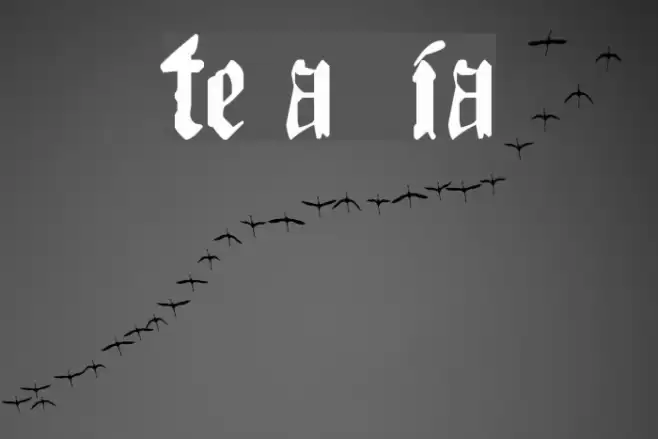 The Art of Illuminating Font examples