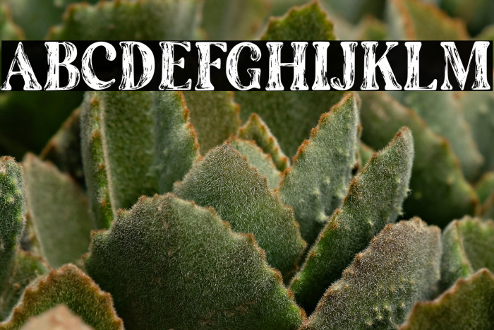 The Artisan Marker Serif Regular Example 1