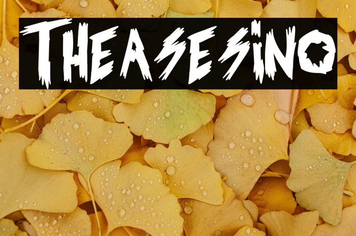 The Asesino Example 1