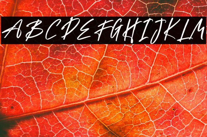 The Astise Example 3