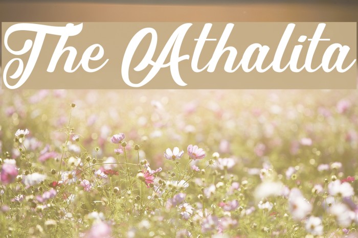 The Athalita Font examples