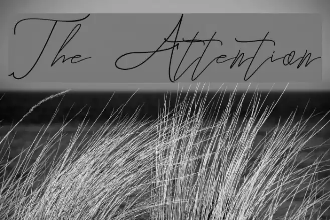 The Attention Font examples