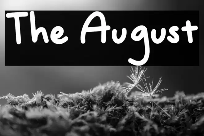 The August Font examples