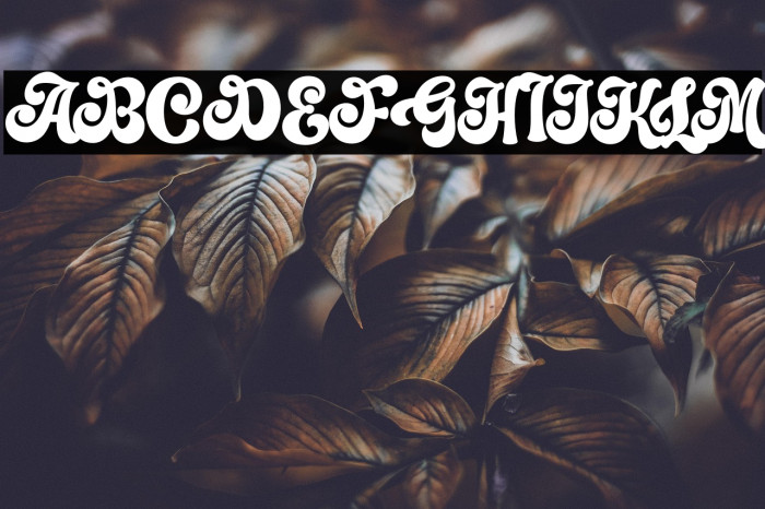 The Augusta Example 3