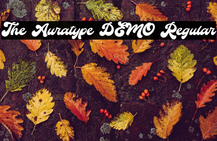 The Auratype DEMO Regular Example 3