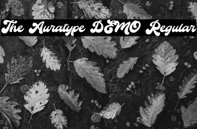The Auratype DEMO Regular Fuentes examples