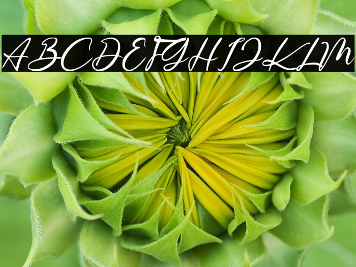 The Austin Example 3