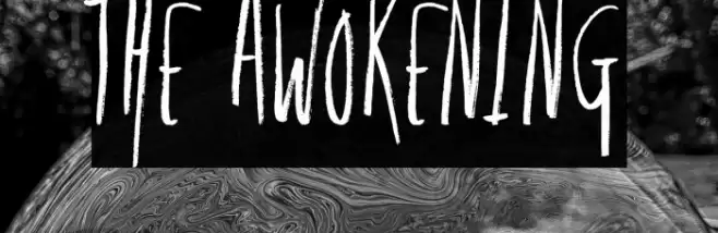 The Awokening Fonte examples