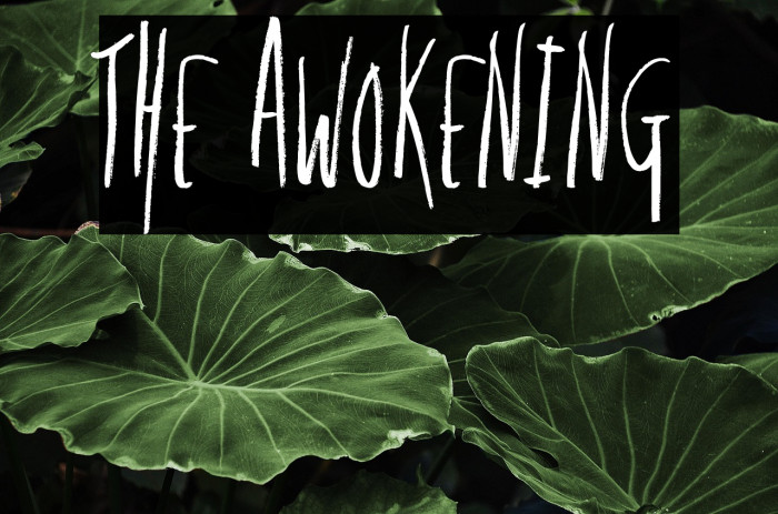 The Awokening Example 2