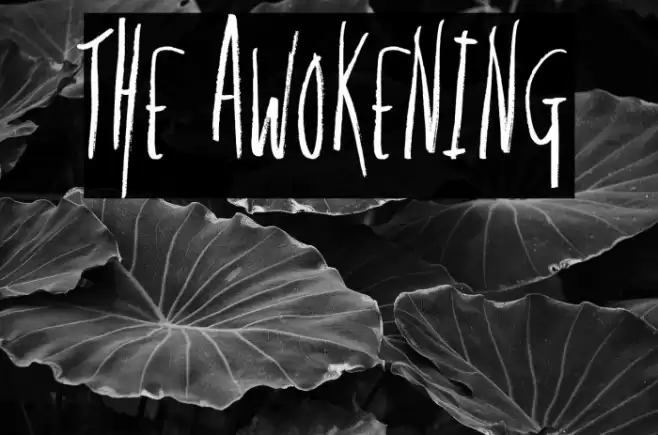 The Awokening Fonte examples