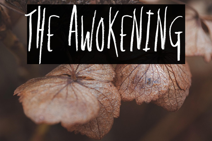 The Awokening Example 3