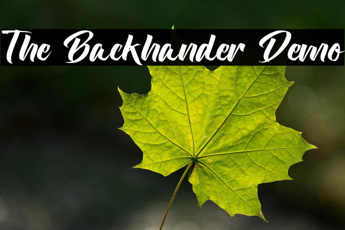 The Backhander Demo Example 1