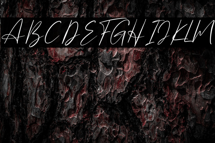 The Badmint Example 1