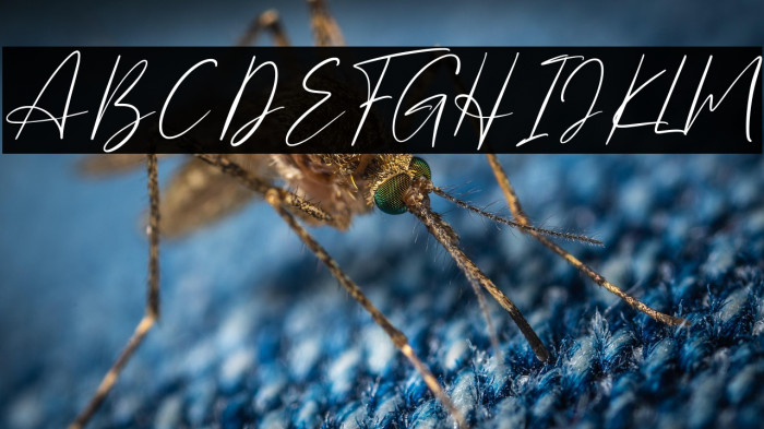 The Badmint Example 2