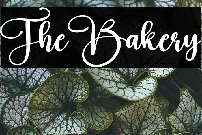 The Bakery Example 2