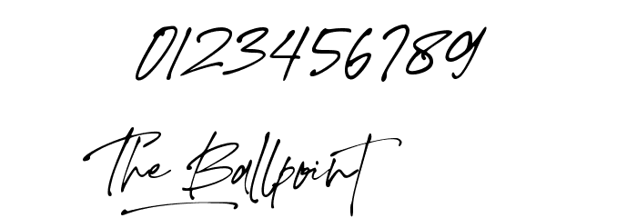 The Ballpoint Font OTHER CHARS