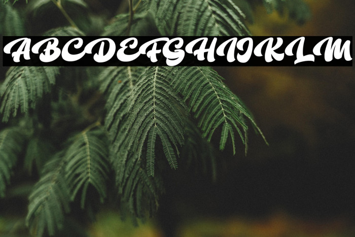 The Bambank Script Example 2