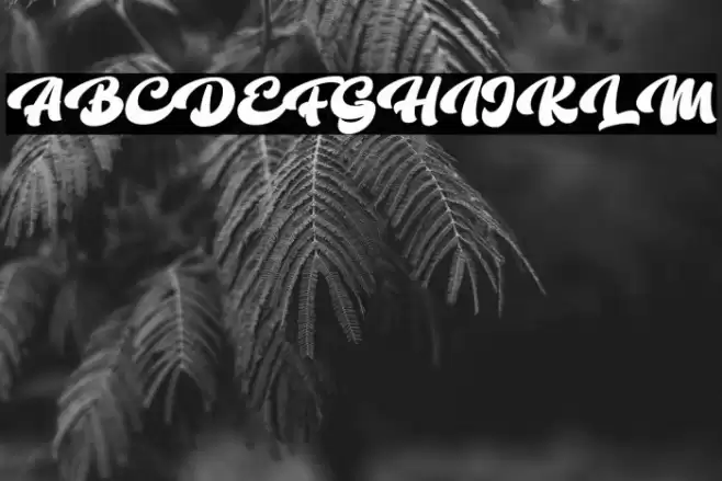 The Bambank Script Font examples