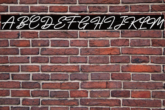 The Bardian DEMO Example 2